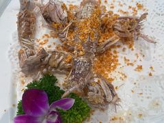 -大东海海鲜酒楼(渔人码头总店)