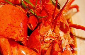 Scallion Oil Persian Lobster