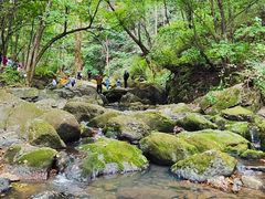 -香炉山国家森林公园