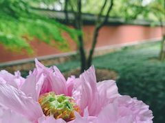 -六和塔文化公园