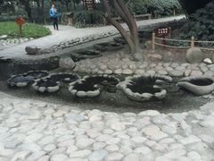 android_upload_pic-成都市活水公园