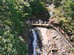 -广州白江湖森林公园