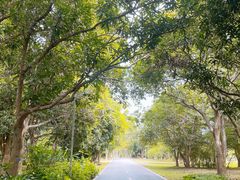 -中国科学院西双版纳热带植物园