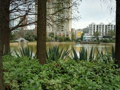 android_upload_pic-四海公园(南山区)