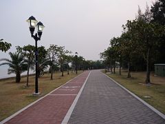 -野狸岛