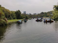 -桂湖森林公园