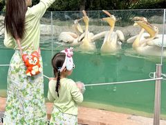 -郑州银基国际旅游度假区
