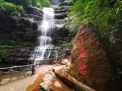 -中国大熊猫保护研究中心雅安碧峰峡基地