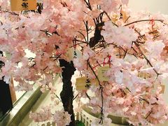 -無邪日式甜品(世博源店)