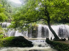 -刘伯温故里景区百丈漈