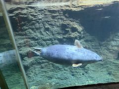 -海合安青岛极地海洋公园