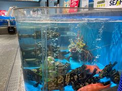 -盒马鲜生(富田新天地店)