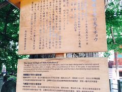 -医王山·飞騨国分寺