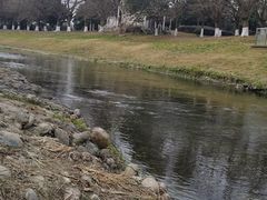 -两河城市森林公园