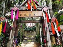 -西双版纳原始森林公园