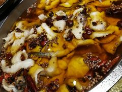 -鑫巴蜀小镇 · 水煮鱼专研店(玉桥店)