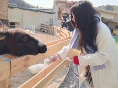 -HERRE·FARM 赫尔露营农场·团建聚会包场