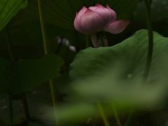 -黄兴公园