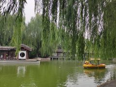 -团结湖公园