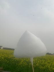 -水八仙生态园