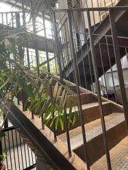 点击看大图 -荷玛高端新娘跟妆团队·彩妆培训
