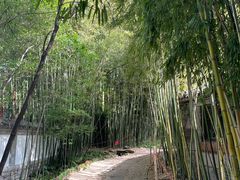 -竹泉村旅游度假区
