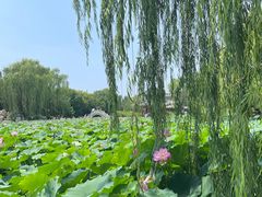 -莲池书院博物馆