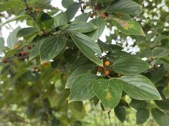 -梁鸿国家湿地公园