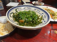 -邵年鸽(杨庄店)