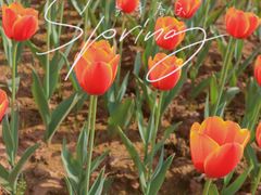 -凤凰沟景区
