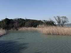 -上海吴淞炮台湾国家湿地公园