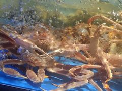 -徐记海鲜(大雁塔|金都店)