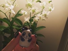 -曼谷文华中心点大酒店