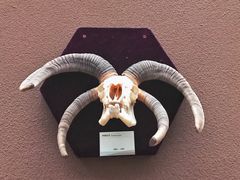 -陕西自然博物馆