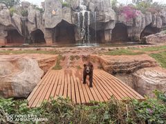 -海南热带野生动植物园
