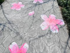 -高东镇樱花园