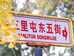 -三里屯东五街银杏大道