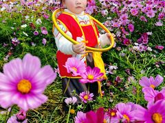 -金鸡山公园