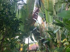 -碧桂园润杨溪谷温泉酒店