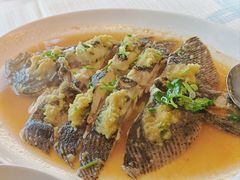 -金苑海鲜酒家(来魅力店)