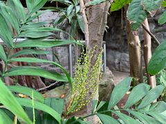 -北京植物园-展览温室
