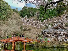 -醍醐寺