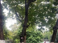 -荔湾湖公园