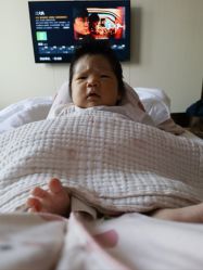 -海豚湾高端月子会所(黄浦店)