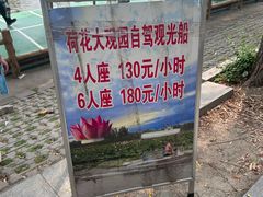 -白洋淀景区