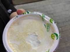 -德禄酸奶(莫家街店)