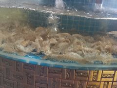 -蓝珊甄选海鲜自助·火锅大排档(近阿那亚店)