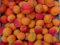 -何庄子阿米玛玛农产品批发市场