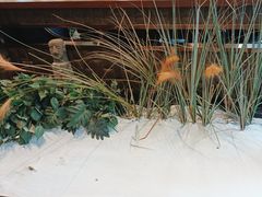 -江小渔鲜鱼火锅(西二道街店)