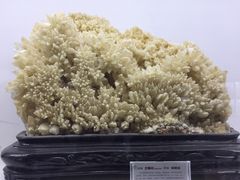 -二连浩特国家地质公园
